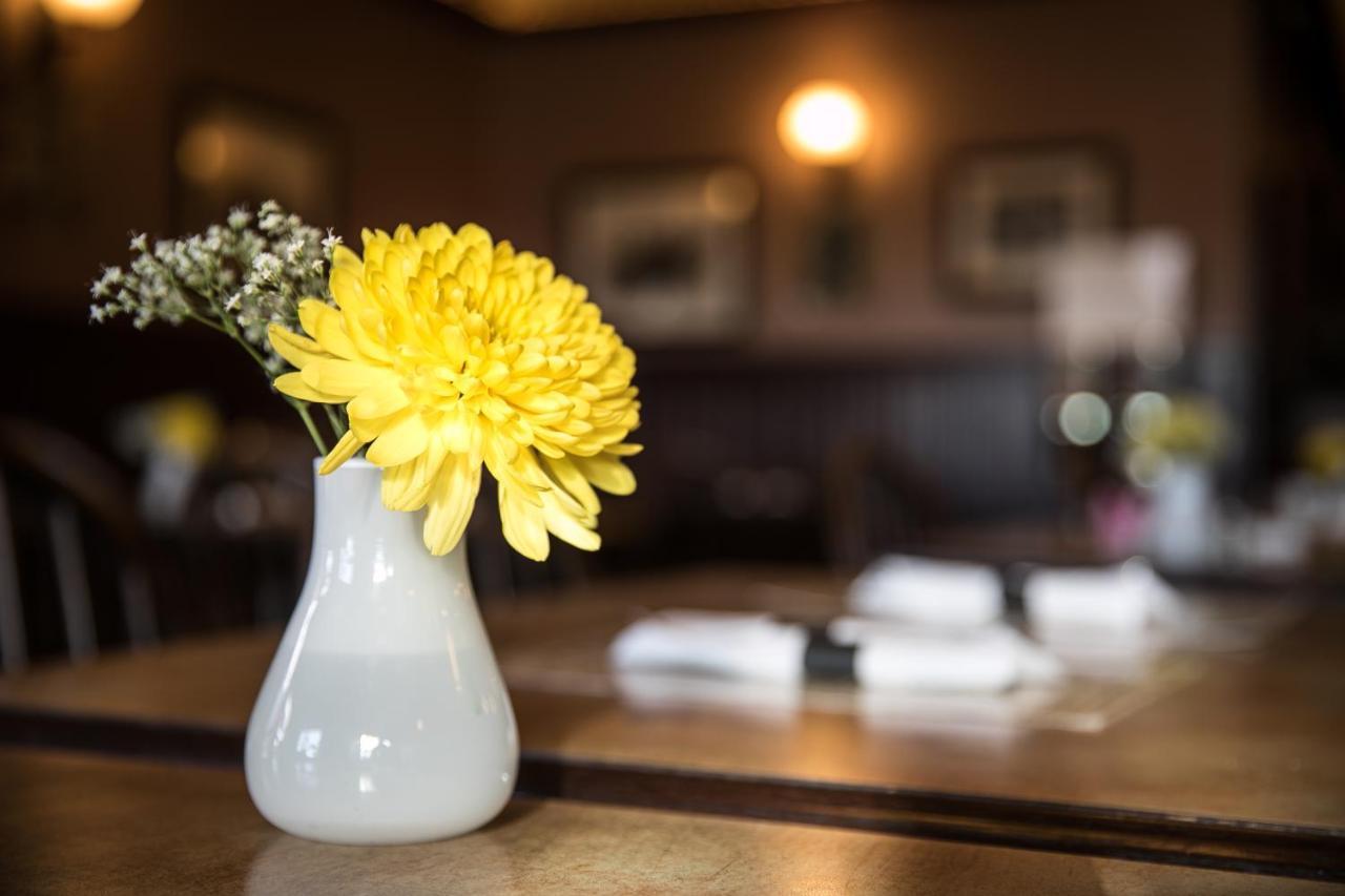 The Cochrane Rockyview Hotel エクステリア 写真